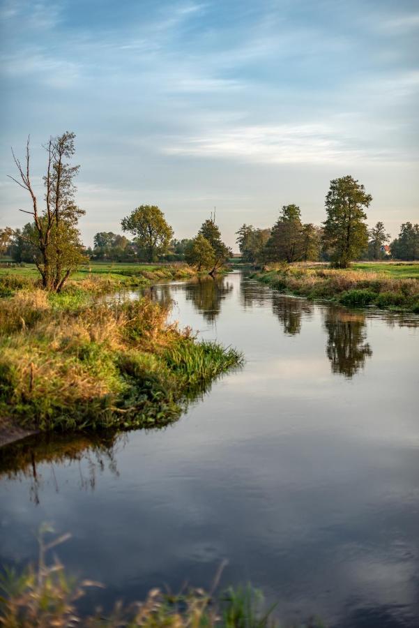 Noclegi Liw Apartments Hotel Apartamenty Węgrów Kültér fotó
